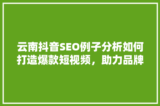 云南抖音SEO例子分析如何打造爆款短视频，助力品牌崛起