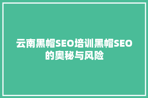 云南黑帽SEO培训黑帽SEO的奥秘与风险