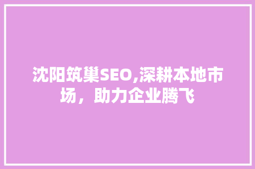 沈阳筑巢SEO,深耕本地市场，助力企业腾飞