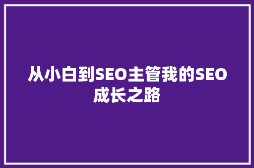 从小白到SEO主管我的SEO成长之路