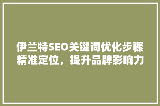 伊兰特SEO关键词优化步骤精准定位，提升品牌影响力