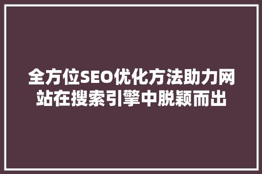 全方位SEO优化方法助力网站在搜索引擎中脱颖而出