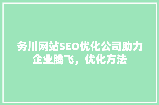 务川网站SEO优化公司助力企业腾飞，优化方法