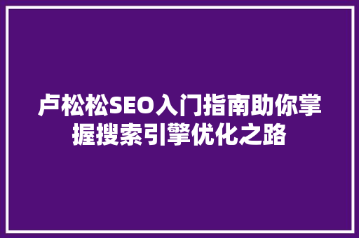卢松松SEO入门指南助你掌握搜索引擎优化之路