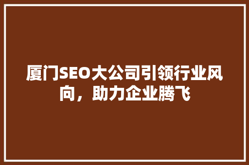 厦门SEO大公司引领行业风向，助力企业腾飞