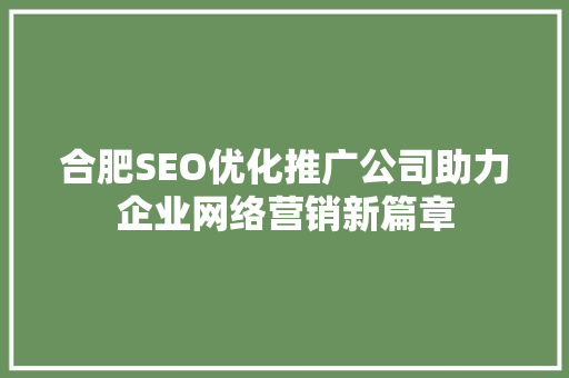 合肥SEO优化推广公司助力企业网络营销新篇章