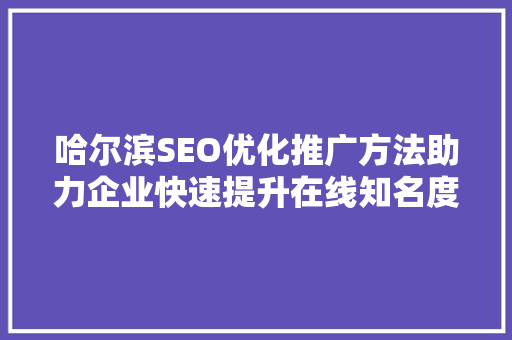 哈尔滨SEO优化推广方法助力企业快速提升在线知名度