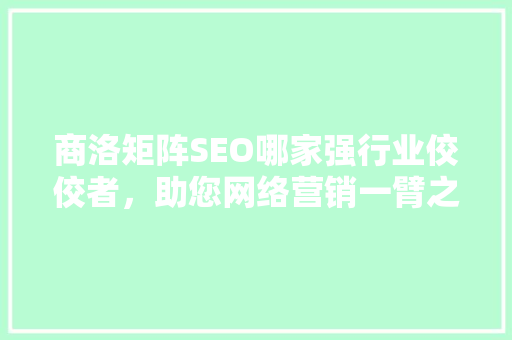 商洛矩阵SEO哪家强行业佼佼者，助您网络营销一臂之力