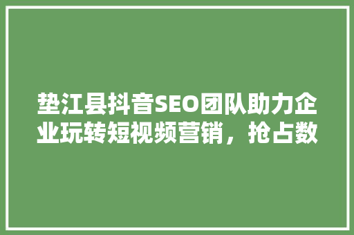 垫江县抖音SEO团队助力企业玩转短视频营销，抢占数字高地