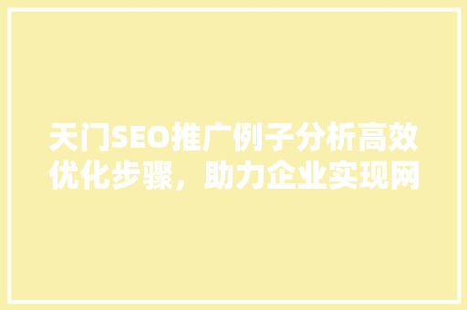 天门SEO推广例子分析高效优化步骤，助力企业实现网络营销新突破