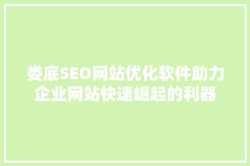 娄底SEO网站优化软件助力企业网站快速崛起的利器