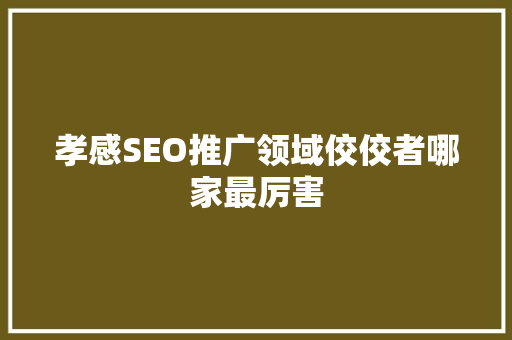 孝感SEO推广领域佼佼者哪家最厉害