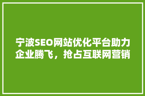 宁波SEO网站优化平台助力企业腾飞，抢占互联网营销高地