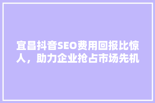 宜昌抖音SEO费用回报比惊人，助力企业抢占市场先机