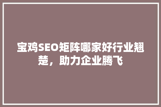宝鸡SEO矩阵哪家好行业翘楚，助力企业腾飞