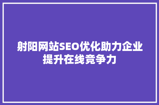 射阳网站SEO优化助力企业提升在线竞争力