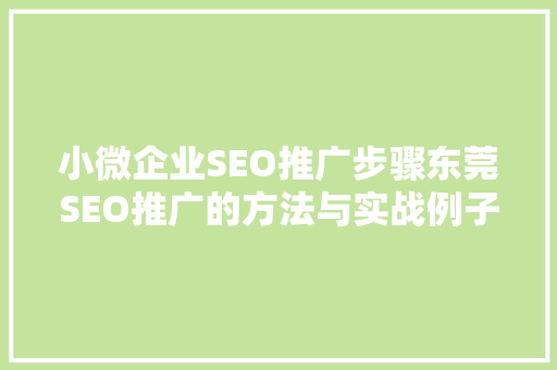 小微企业SEO推广步骤东莞SEO推广的方法与实战例子