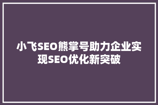 小飞SEO熊掌号助力企业实现SEO优化新突破