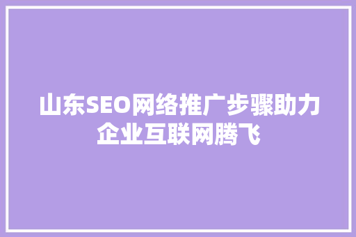 山东SEO网络推广步骤助力企业互联网腾飞