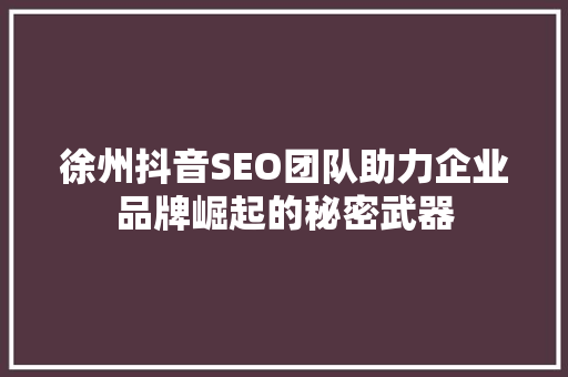 徐州抖音SEO团队助力企业品牌崛起的秘密武器 建站教程