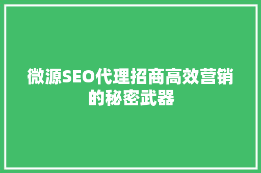 微源SEO代理招商高效营销的秘密武器 友链在线