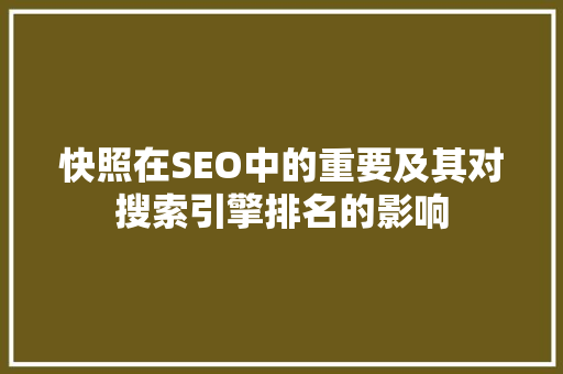 快照在SEO中的重要及其对搜索引擎排名的影响