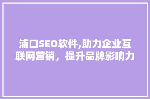浦口SEO软件,助力企业互联网营销，提升品牌影响力