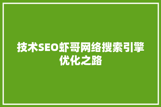 技术SEO虾哥网络搜索引擎优化之路