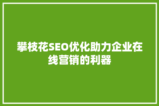 攀枝花SEO优化助力企业在线营销的利器