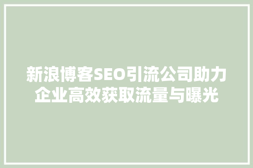 新浪博客SEO引流公司助力企业高效获取流量与曝光