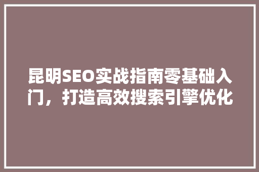 昆明SEO实战指南零基础入门，打造高效搜索引擎优化步骤