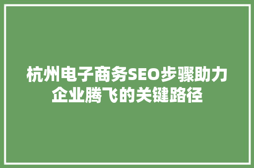 杭州电子商务SEO步骤助力企业腾飞的关键路径