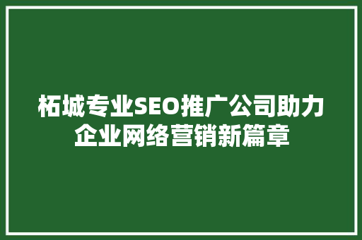 柘城专业SEO推广公司助力企业网络营销新篇章