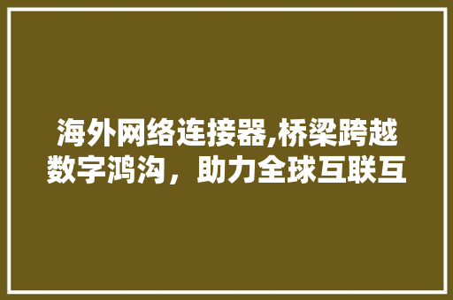 海外网络连接器,桥梁跨越数字鸿沟，助力全球互联互通 海外网络连接器,桥梁跨越数字鸿沟，助力全球互联互通 SEO教程