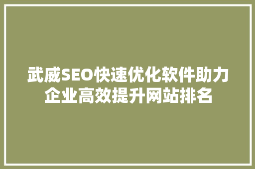武威SEO快速优化软件助力企业高效提升网站排名