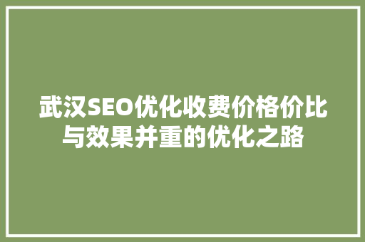 武汉SEO优化收费价格价比与效果并重的优化之路