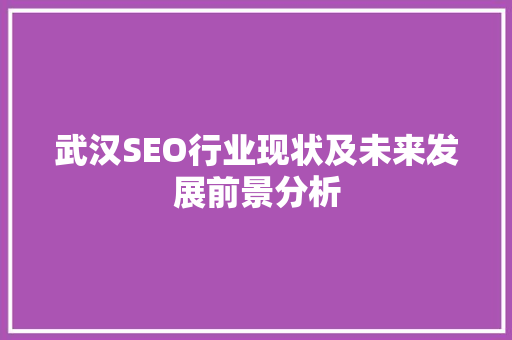 武汉SEO行业现状及未来发展前景分析