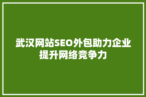武汉网站SEO外包助力企业提升网络竞争力