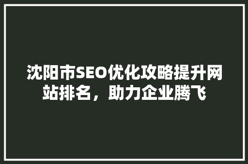 沈阳市SEO优化攻略提升网站排名，助力企业腾飞