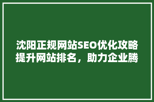 沈阳正规网站SEO优化攻略提升网站排名，助力企业腾飞