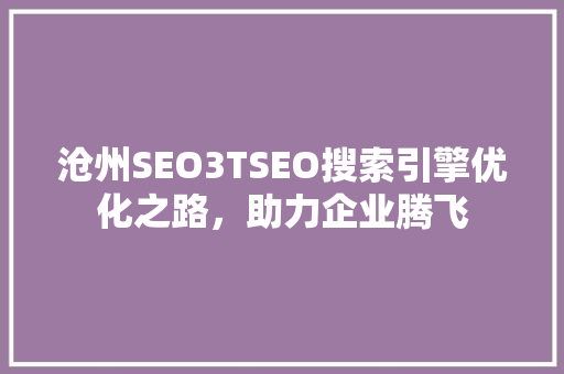 沧州SEO3TSEO搜索引擎优化之路，助力企业腾飞