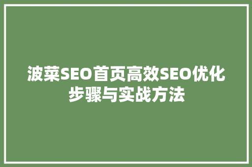波菜SEO首页高效SEO优化步骤与实战方法