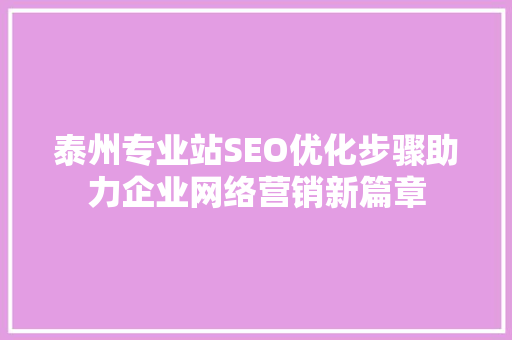 泰州专业站SEO优化步骤助力企业网络营销新篇章