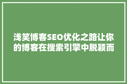 浅笑博客SEO优化之路让你的博客在搜索引擎中脱颖而出