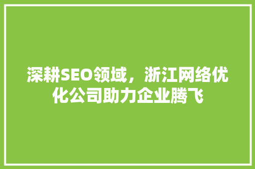 深耕SEO领域，浙江网络优化公司助力企业腾飞