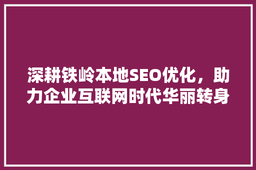 深耕铁岭本地SEO优化，助力企业互联网时代华丽转身
