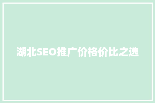 湖北SEO推广价格价比之选