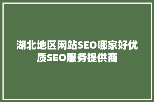 湖北地区网站SEO哪家好优质SEO服务提供商