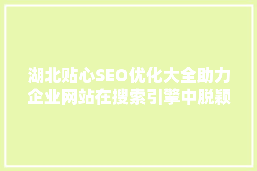 湖北贴心SEO优化大全助力企业网站在搜索引擎中脱颖而出