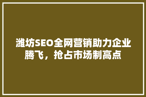 潍坊SEO全网营销助力企业腾飞，抢占市场制高点